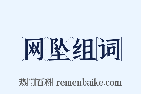 网坠组词是什么意思的图片